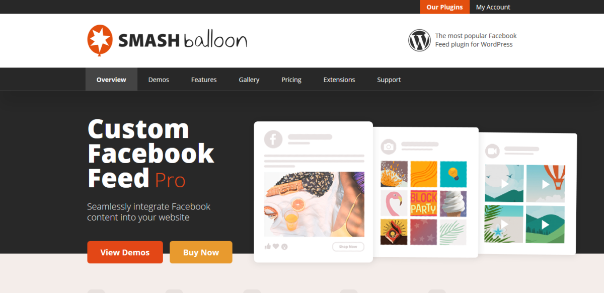 Complemento para compartir Smash Balloon Social Photo Feed