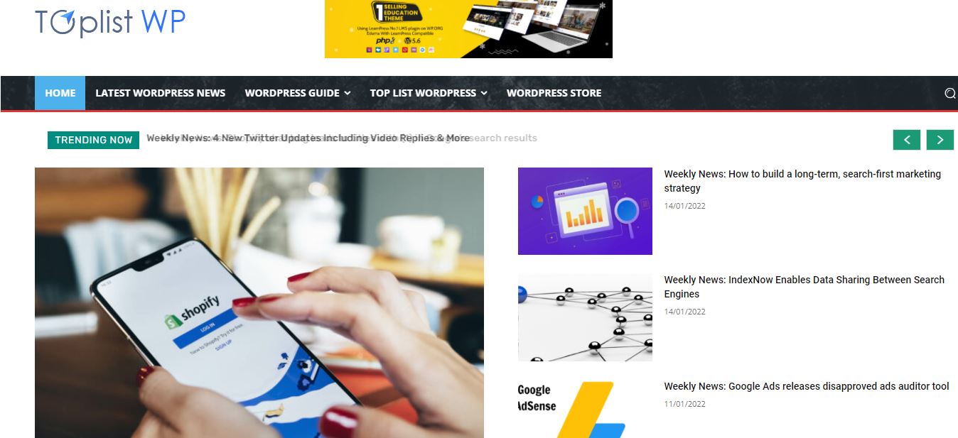 toplistwp-Blogs über WordPress