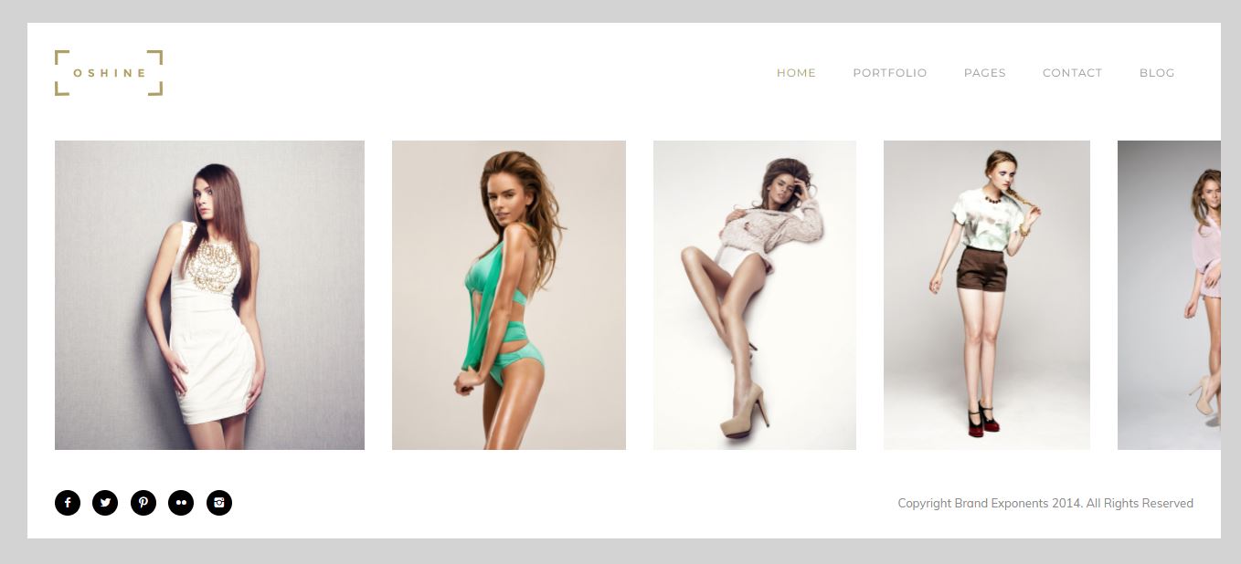 teme de fotografie oshine wordpress