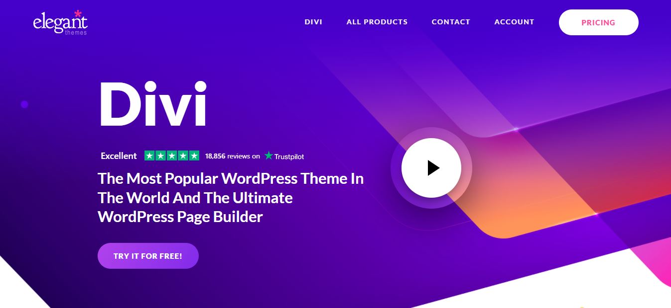 محفظة divi وورد موضوع البناء