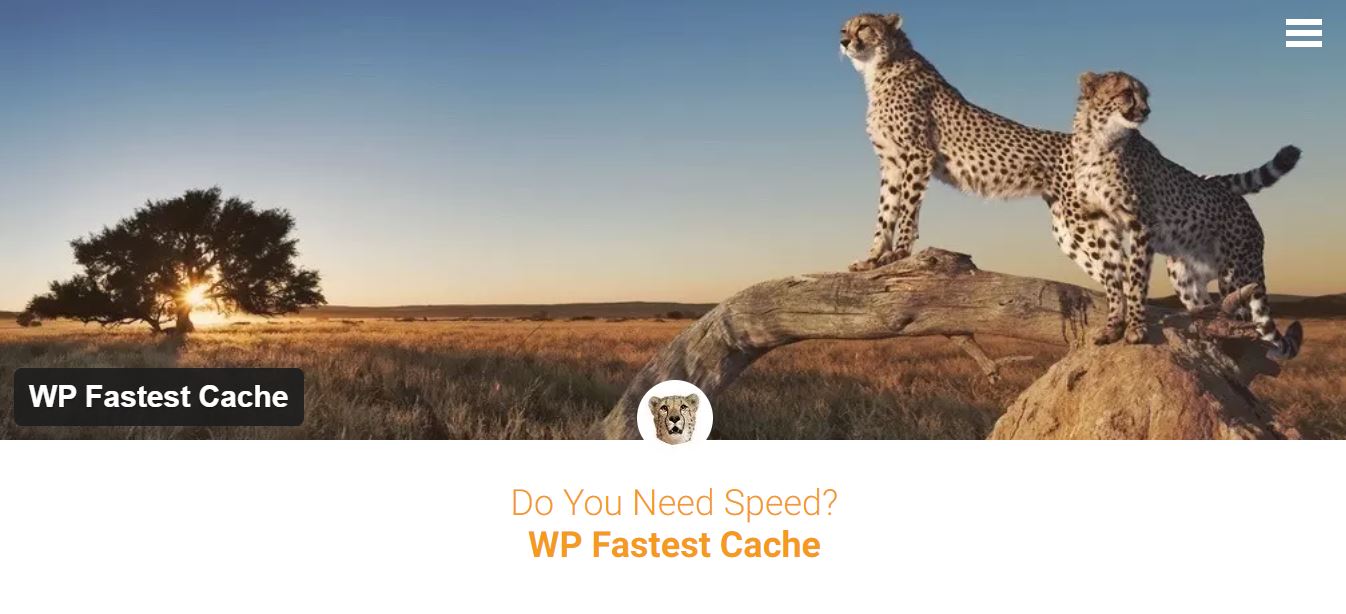 wp schnellster Cache