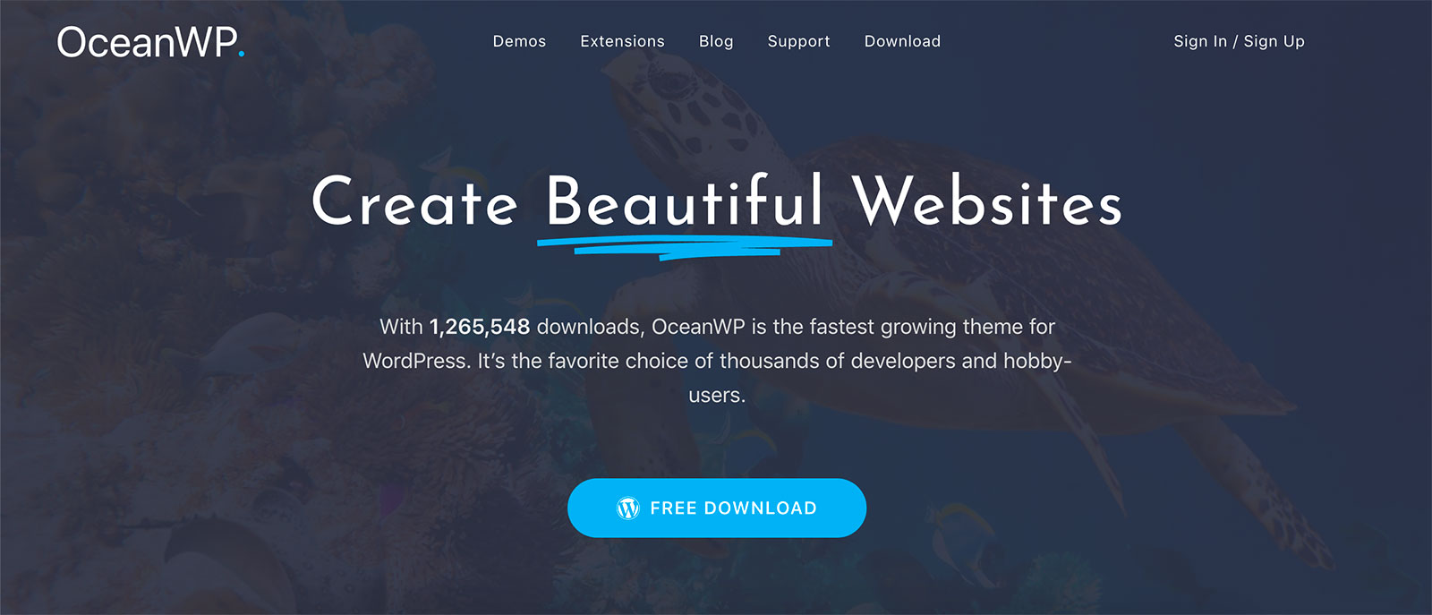 แม่แบบ wordpress oceanwp