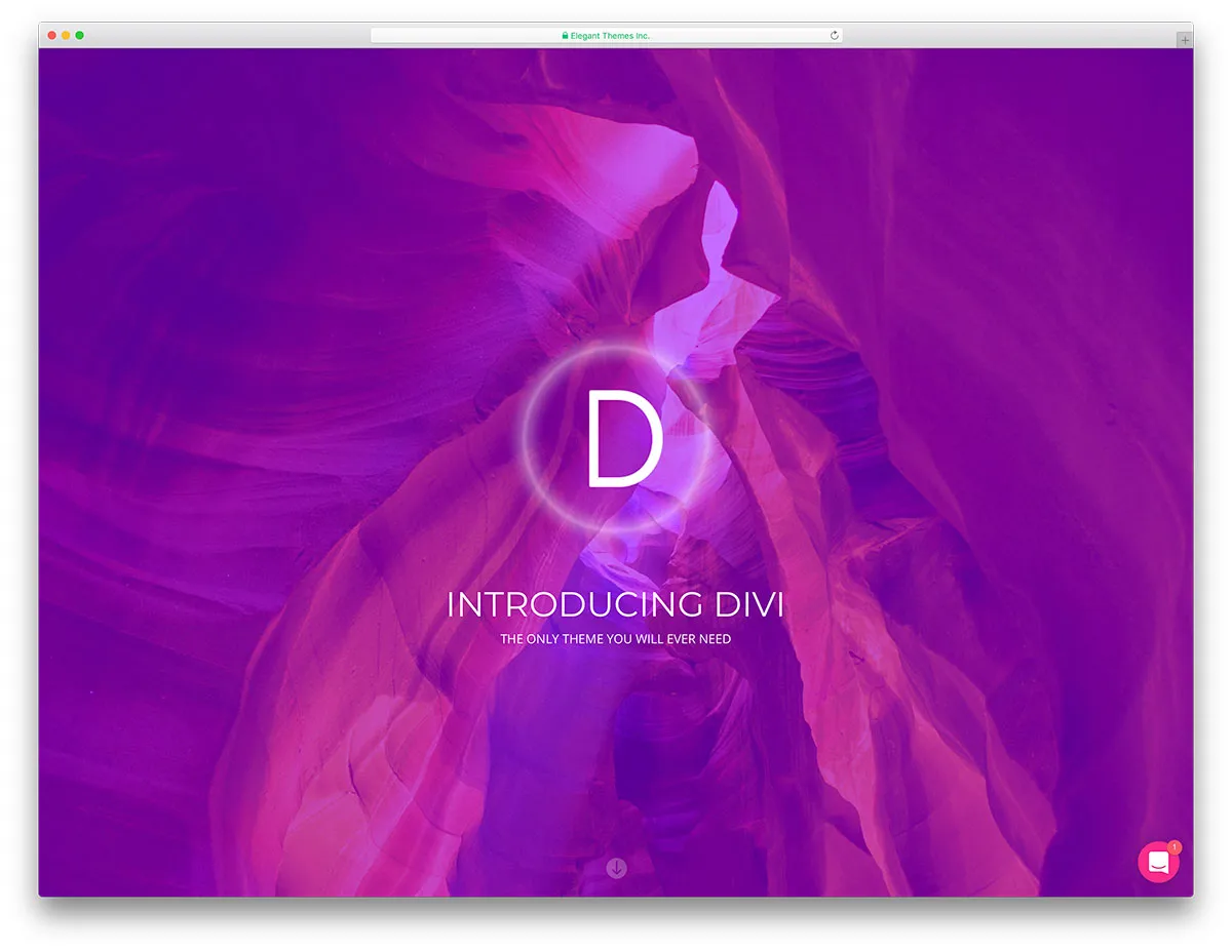 divi - موضوع فريد متعدد الأغراض