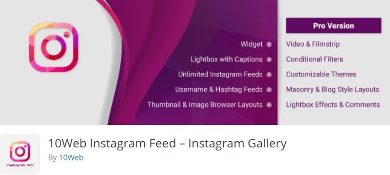 10 Feed di Instagram Web