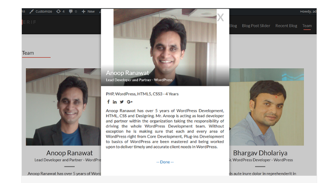 Progettazione della vetrina WP Team e del plug-in Slider