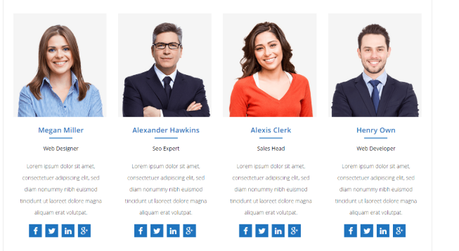 Progettazione del plug-in wordpress di Team Builder