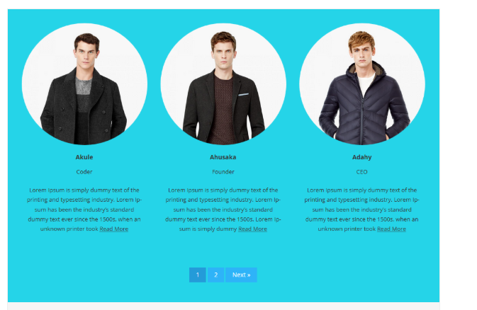 Progettazione del plugin wordpress Team Showcase