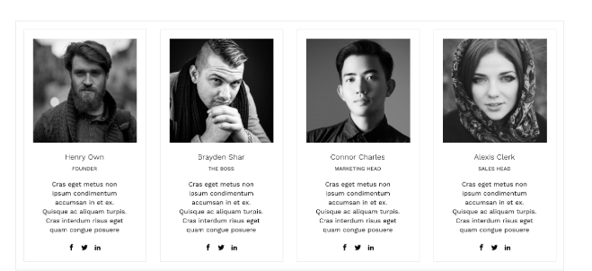 progettazione del plugin wordpress di AWSM Team