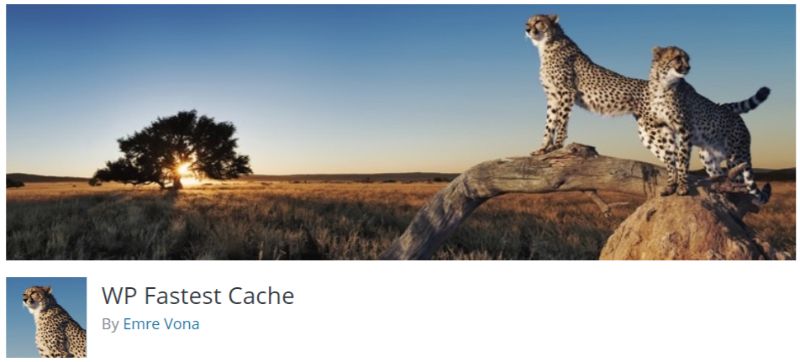 WP 가장 빠른 캐시 플러그인
