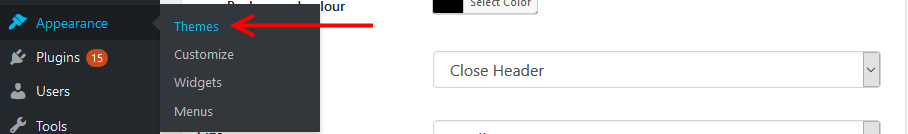 Temaları ve Eklentileri Kontrol Edin