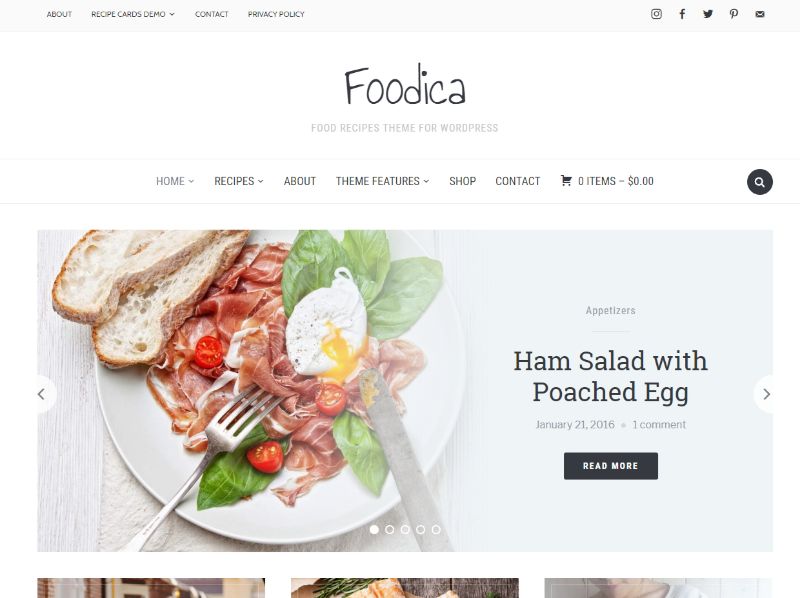 Foodica WordPress yemek teması