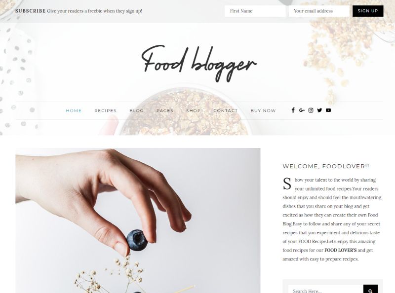 Yemek Blogger wordpress yemek teması.