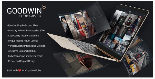 Goodwin fotoğrafçılık WordPress teması