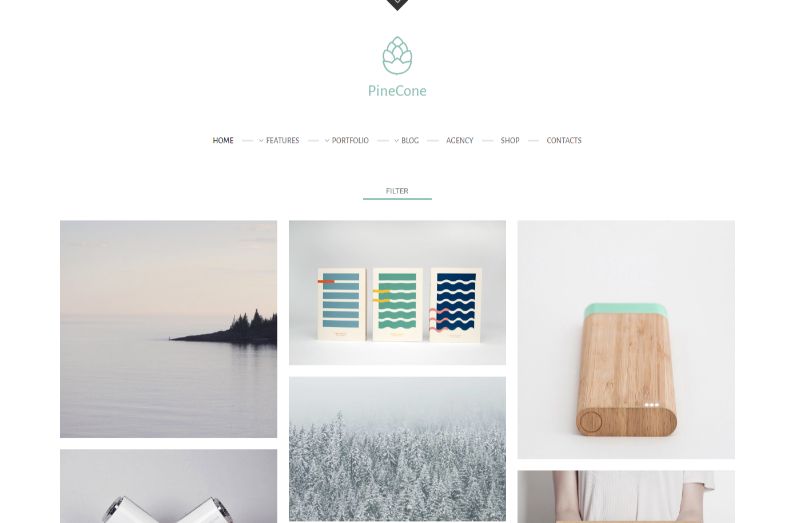 PineCone-Portfolio-WordPress-Theme