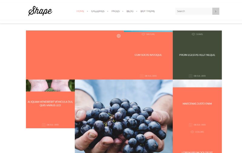 Shape-Portfolio WordPress-Theme