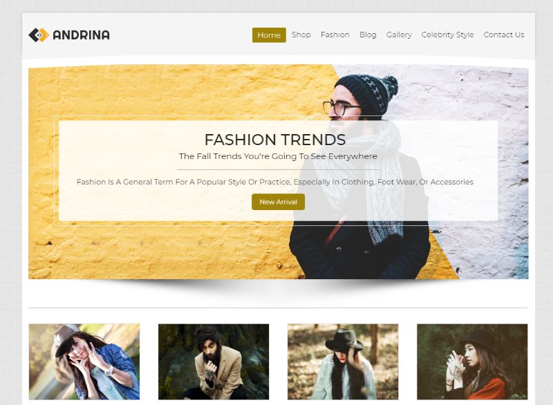 Andrina WordPress Modethema