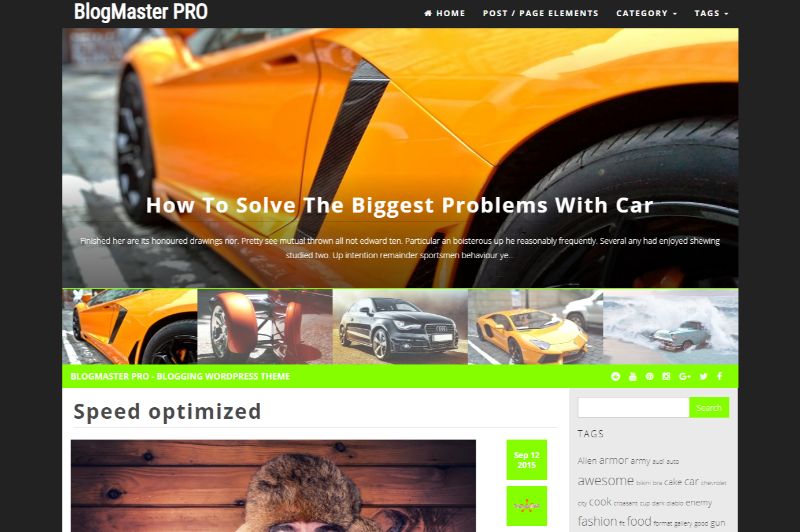 Blogmaster Pro WordPress Minimalistisches Theme