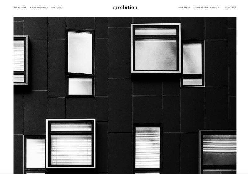 Revolution Pro WordPress Minimalistisches Theme