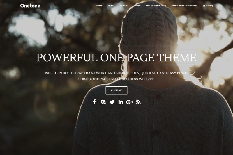 Onetone Pro ワンページ WordPress テーマ