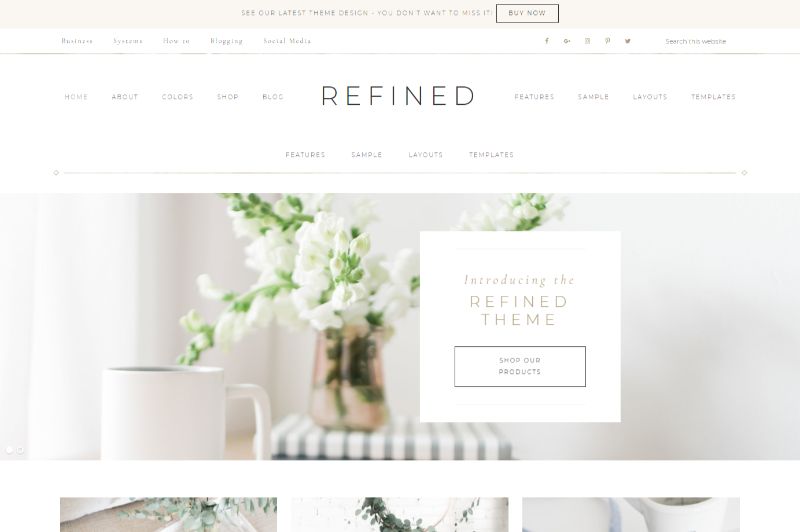 Tema WordPress Feminin Halus