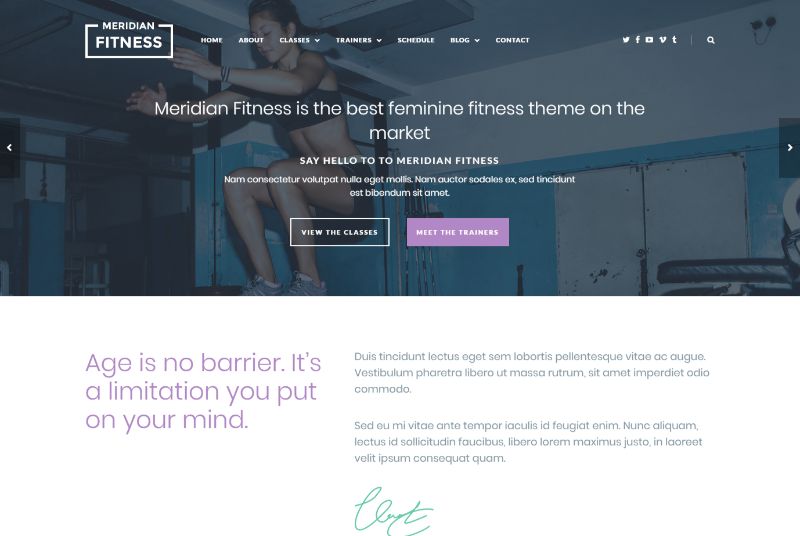 Tema WordPress Feminin Meridian