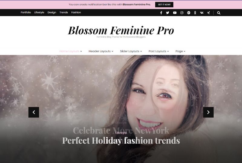 Blossom Feminine Pro Feminine WordPress Theme