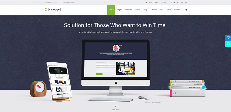 Hershel 多目的 WordPress テーマ