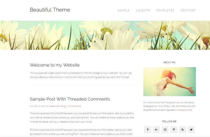 ธีม WordPress Pro Beauty ที่สวยงาม