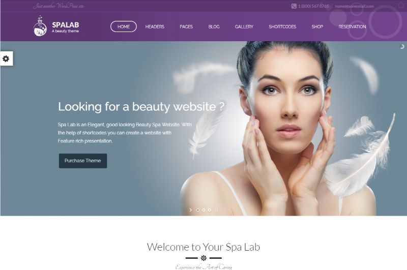 ธีม WordPress สปาแล็บความงาม
