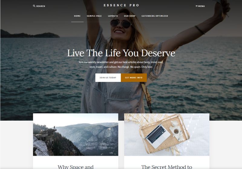 Tema de WordPress de estilo de vida profesional de Essence