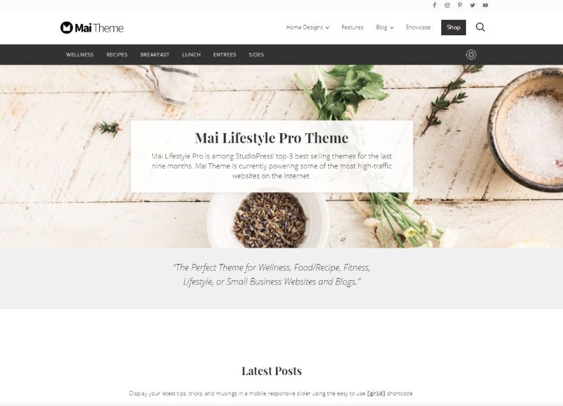 Mai Estilo de Vida Pro WordPress Tema