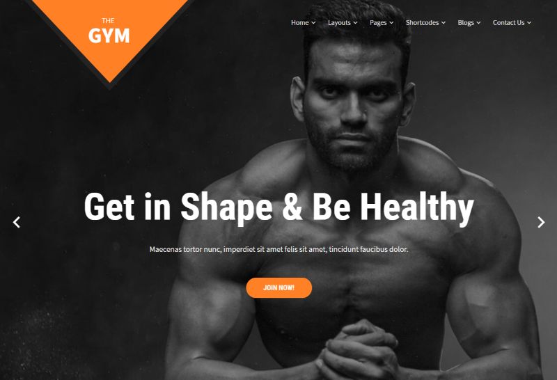 Tema WordPress SKT Gym Pro Fitness