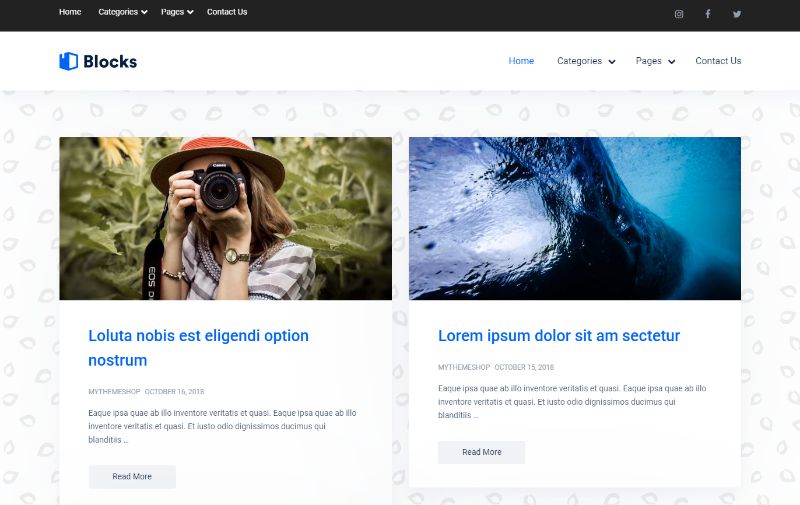 Blocuri blog personal Tema WordPress
