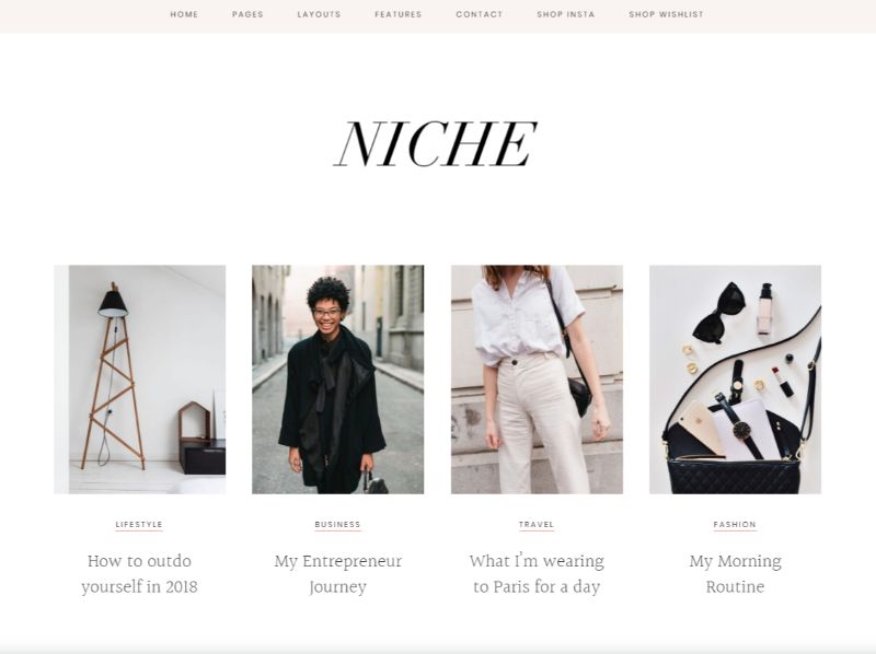 Tema WordPress pentru blogul personal Niche Pro