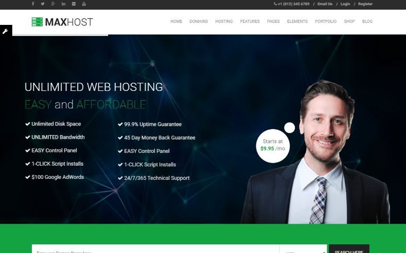 Maxhost ホスティング WordPress テーマ