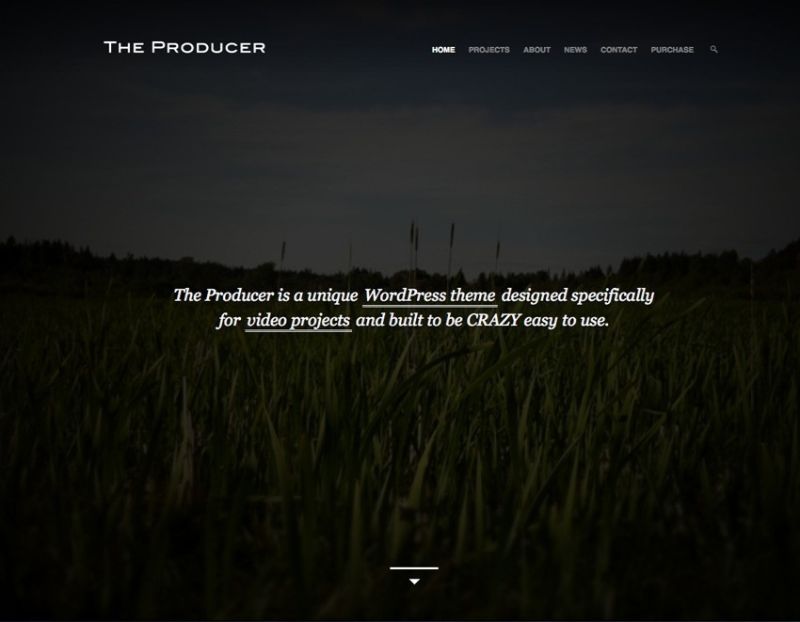 The Producer WordPress Movie Film Theme