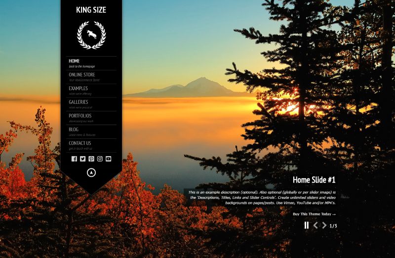 特大号一栏 WordPress 主题