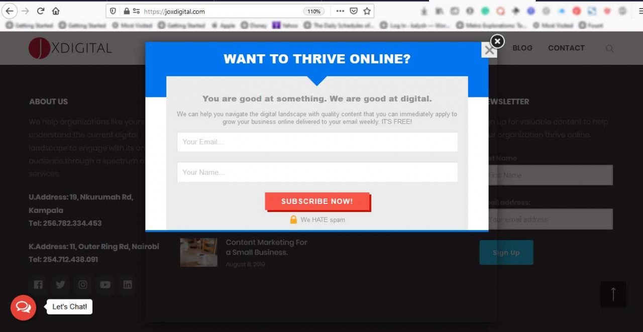 Adicionar formulário de boletim informativo ao site WordPress