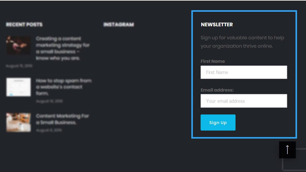 Adicionar formulário de boletim informativo ao site WordPress