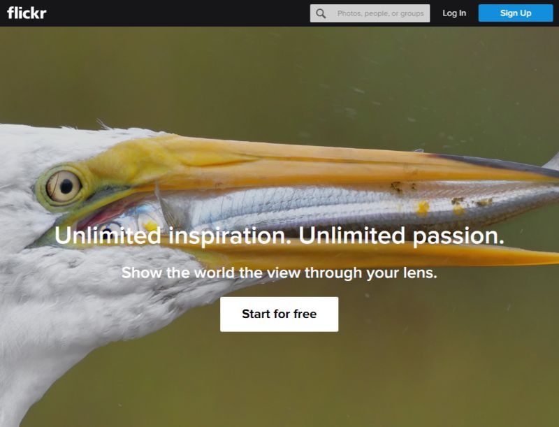 Darmowe zdjęcia stockowe na Flickr