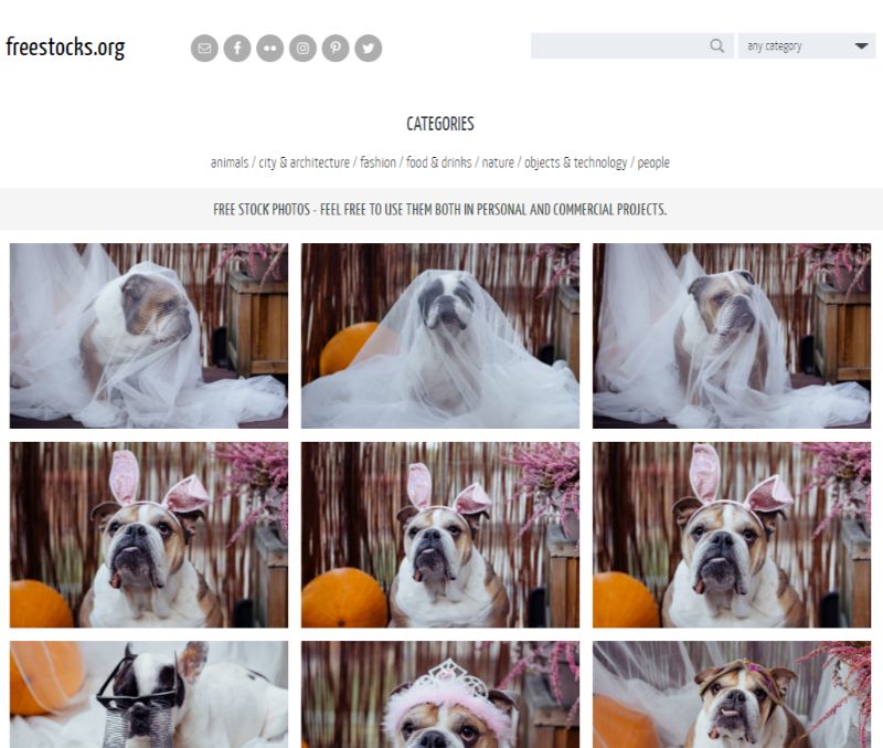 Freestocks darmowe obrazy stockowe