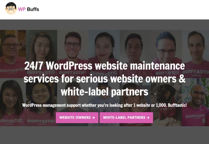 WPBuffs Usługi wsparcia WordPress w zakresie konserwacji