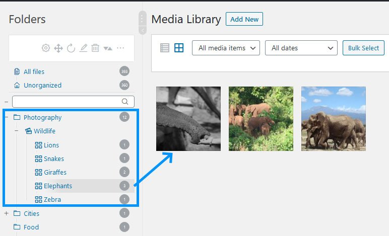 실제 미디어 라이브러리 갤러리