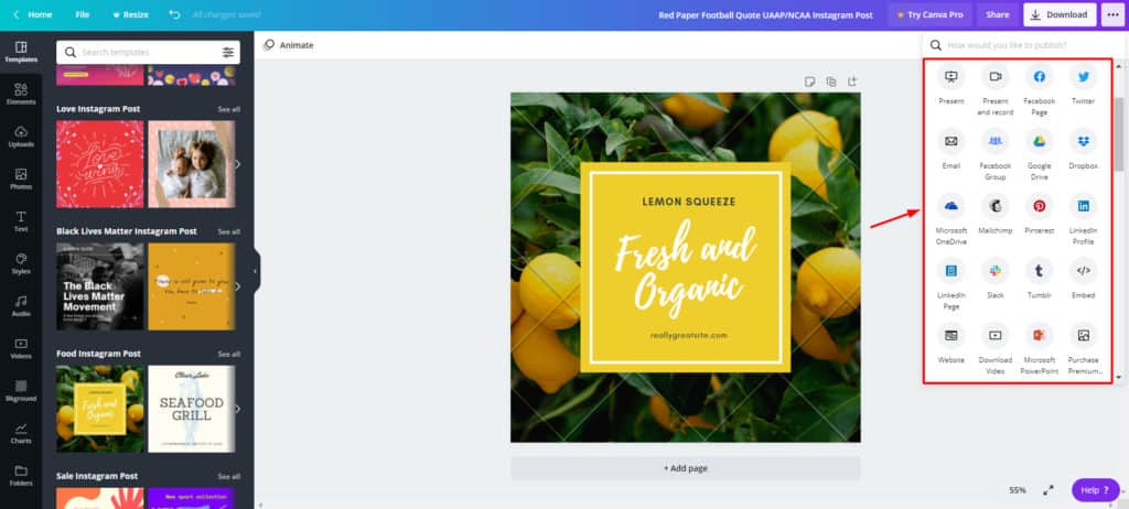 Параметры бесплатного обмена Canva