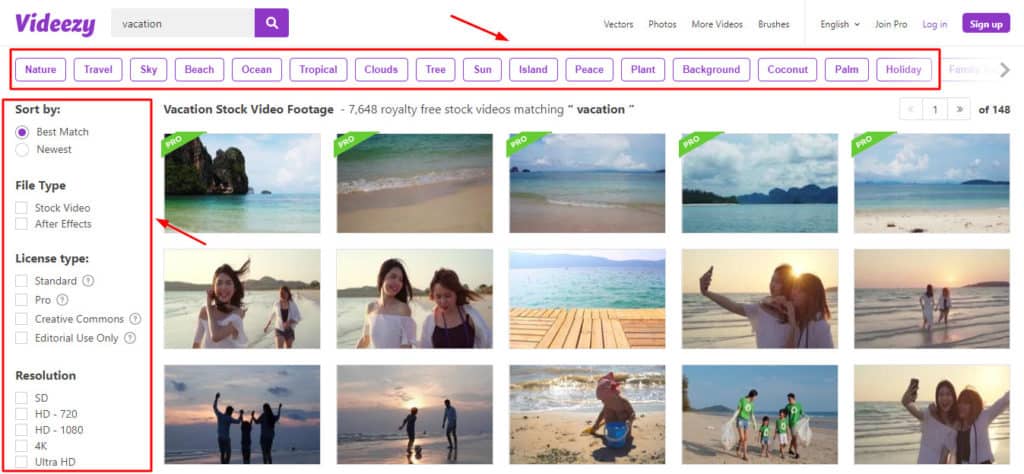 Videezy filtre seçenekleri