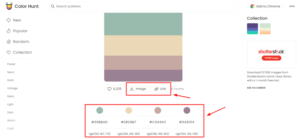 Варианты загрузки и цветовые коды в Colorhunt