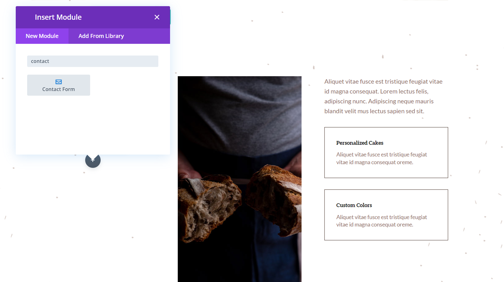 Divi Reveal Seçenekleri Açılır İletişim Formu Form Ekle