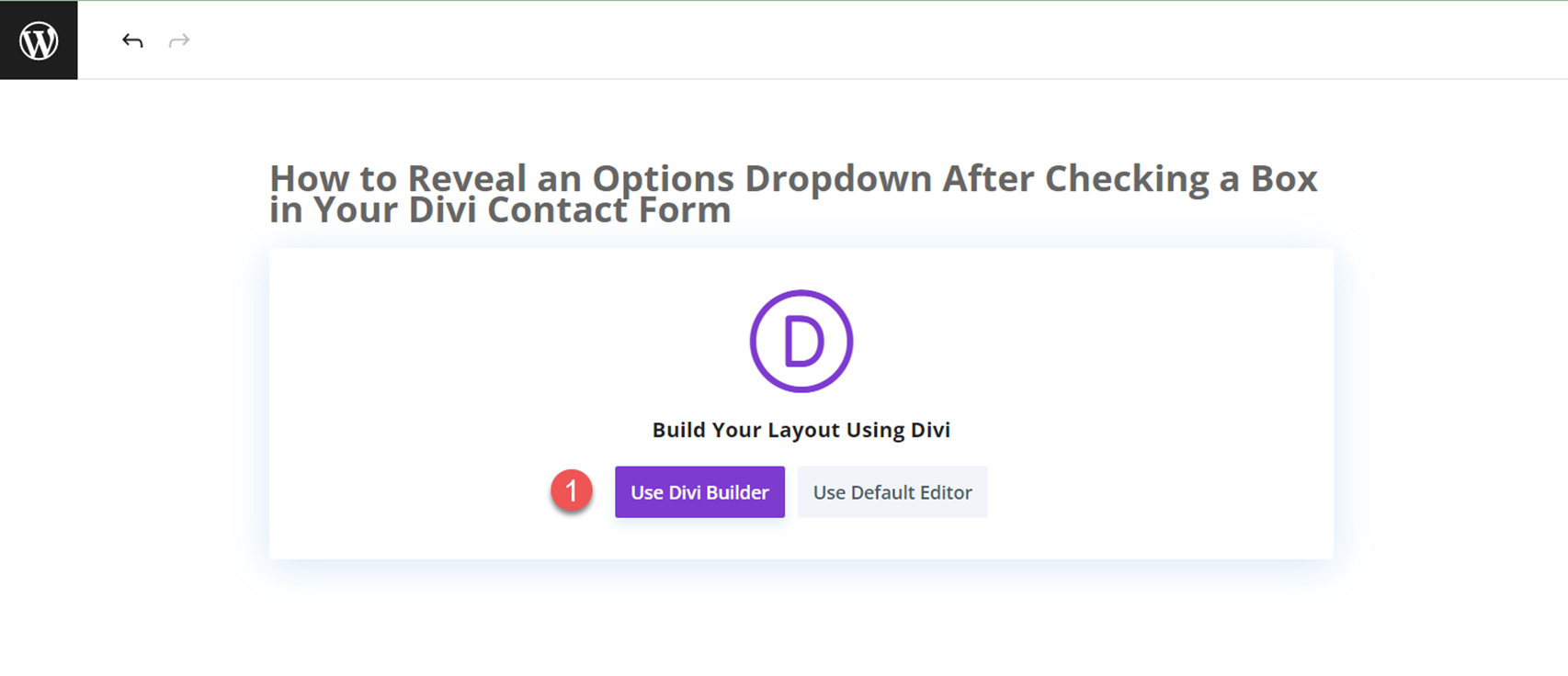 Divi Reveal Seçenekleri Açılır İletişim Formu Oluşturucuyu Kullan