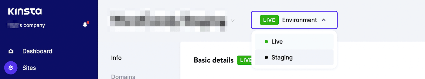 Ein Screenshot der Erstellung einer Staging-Site in MyKinsta