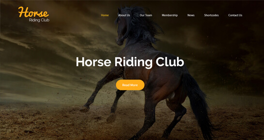 Reiter-Wordpress-Thema